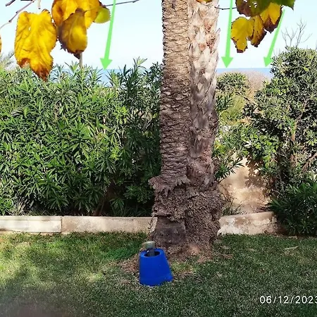Appartement Casa En Primera Linea De Playa Dénia